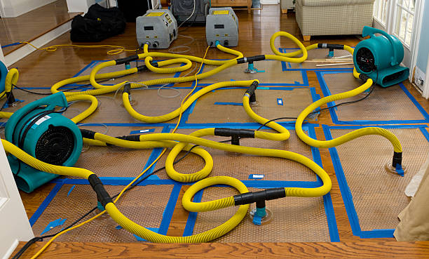 Professional Basement Flood Cleanup technician working in Bowie, MD